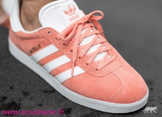 gazelle rose et grise